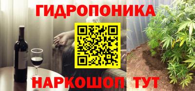ешки Кингисепп
