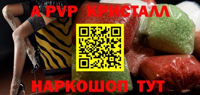 ешки Кингисепп