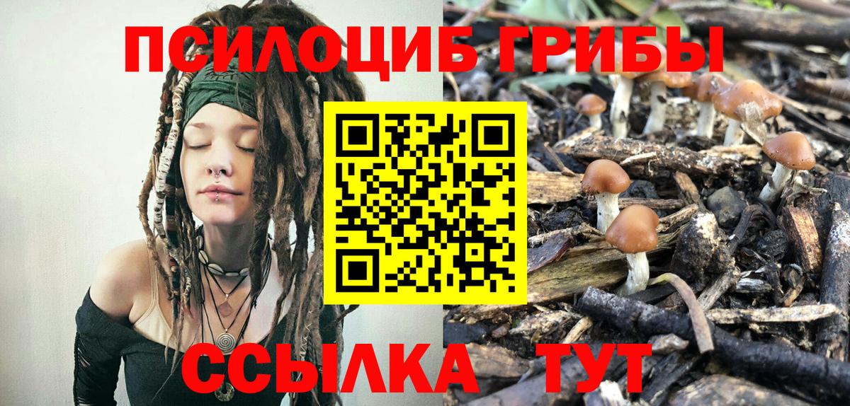 Псилоцибиновые грибы Magic Shrooms Костомукша