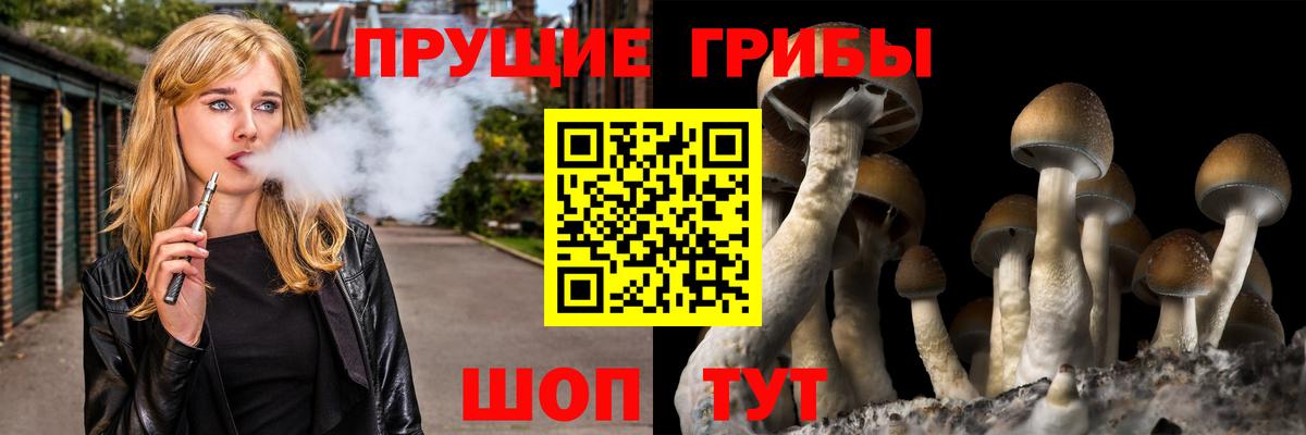 Псилоцибиновые грибы GOLDEN TEACHER  Галлюциногенные грибы прущие грибы  Вход с VPN  Костомукша 